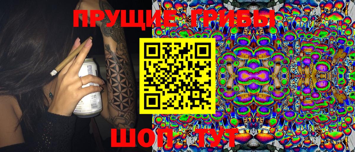 Псилоцибиновые грибы Cubensis Чебаркуль