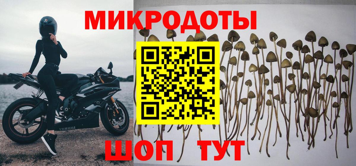Псилоцибиновые грибы мухоморы  Вход с VPN  Чебаркуль 